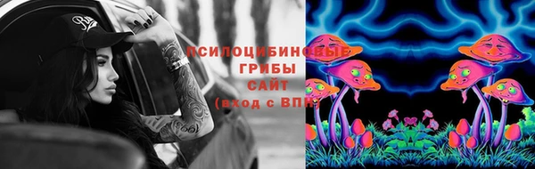 амф Белокуриха