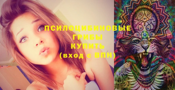 ешки Балахна