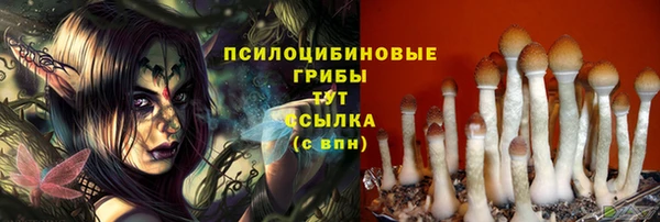амф Белокуриха