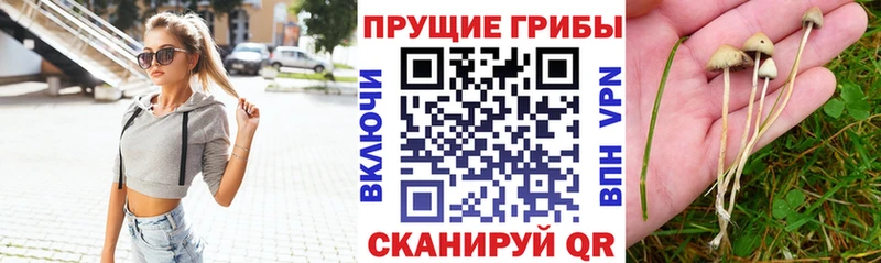 Галлюциногенные грибы Magic Shrooms Шагонар