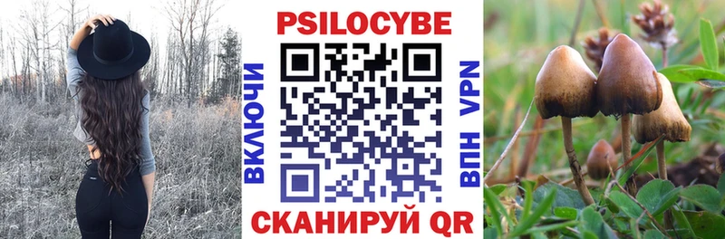 Галлюциногенные грибы Psilocybine cubensis KRAKEN зеркало Шагонар